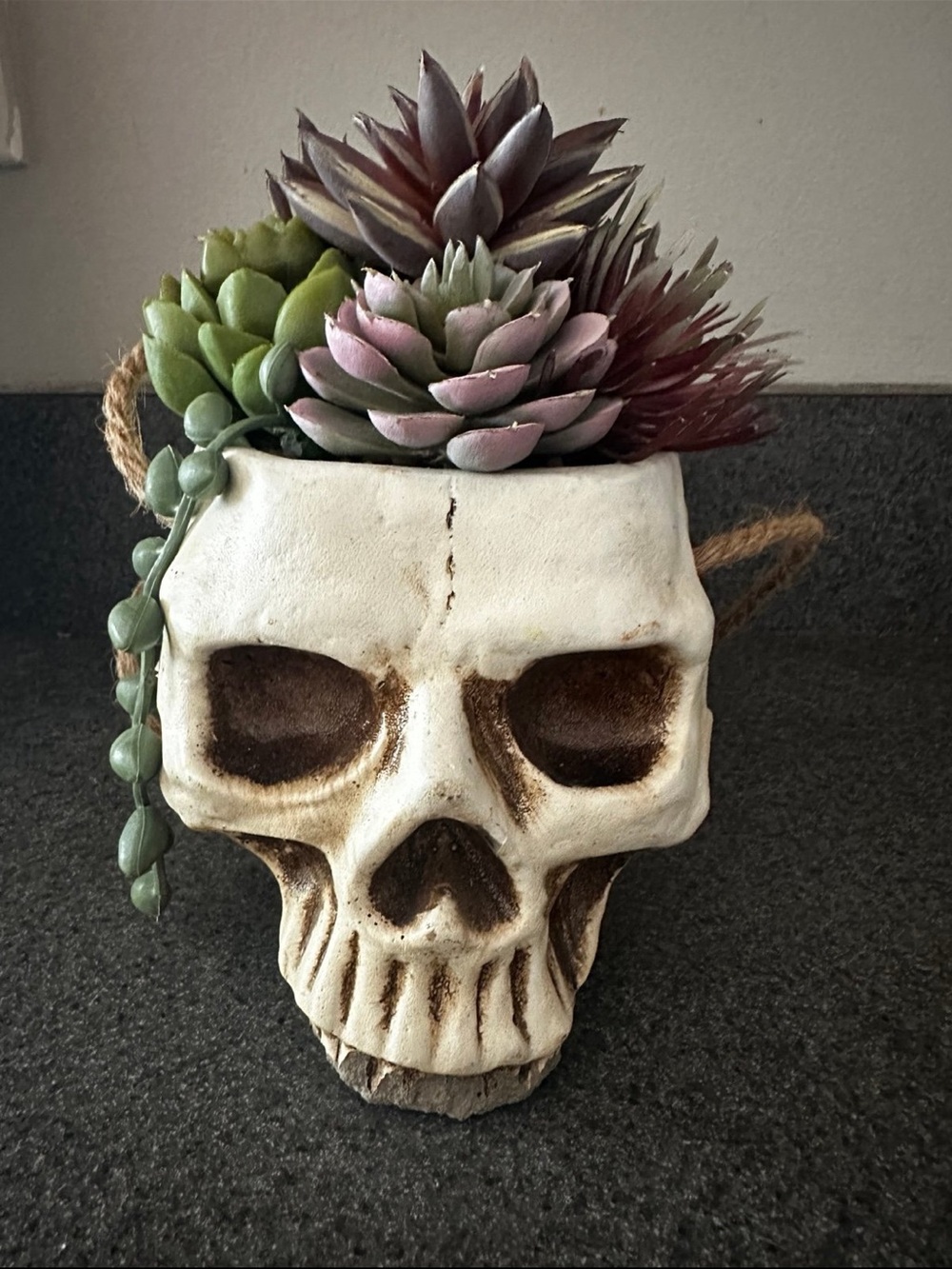 Cool Skull Ceramic Planter with Succulents -
